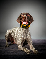 RIGGS